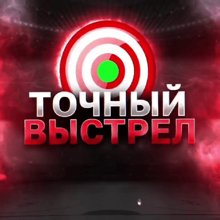tochnyy-vystrel-po-bk-otzyvy