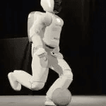 bot-dokhoda-otzyvy